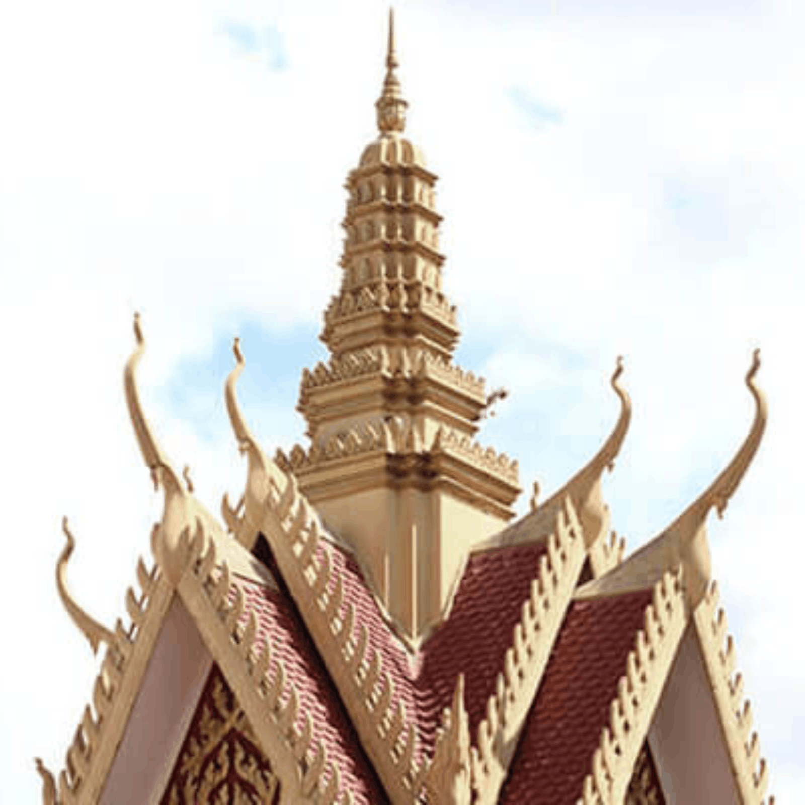 Mekong River Cruise - Images (7) (1)